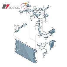 O-ring thermostaat V6 benzine